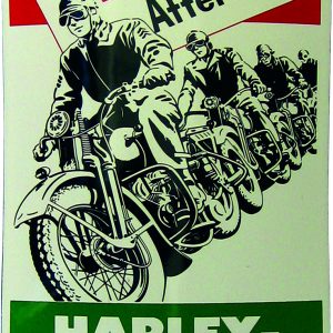 PLAQUE HARLEY DAVIDSON EN EMAIL